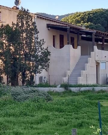 Ferienwohnung U Palmu Sagone  Exterior foto