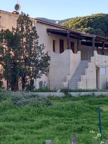 Ferienwohnung U Palmu Sagone  Exterior foto
